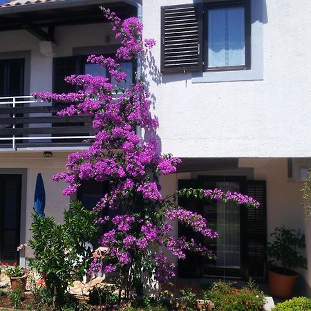 Apartments Barac Poreč Kültér fotó