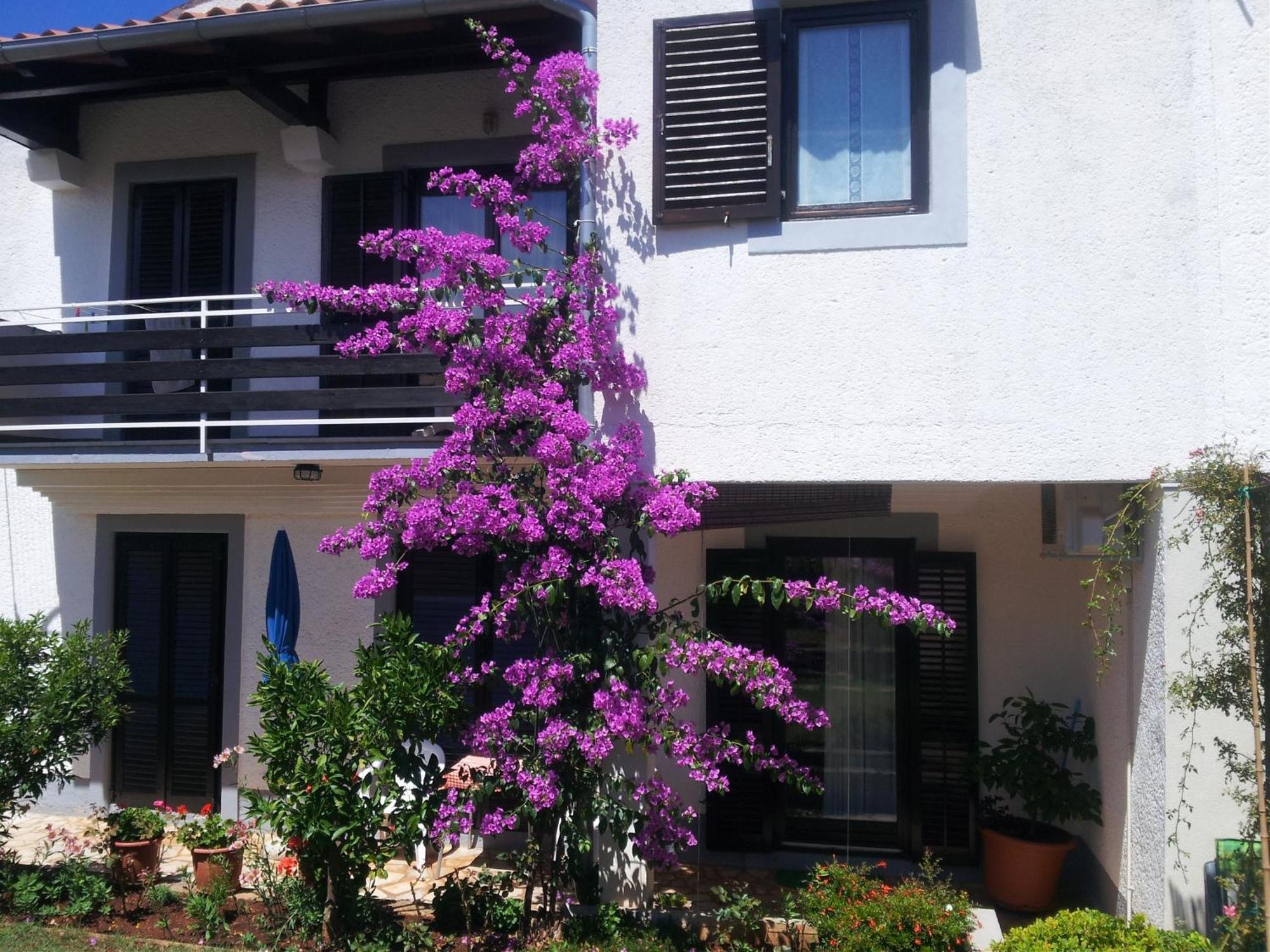 Apartments Barac Poreč Kültér fotó